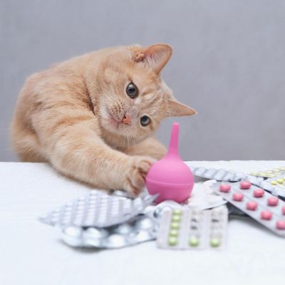 A cat playing with pills on a table.